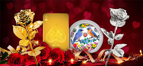 Cool & Collectible