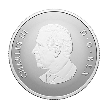 1/2 oz Silver Welcome to the World Coin (2026), image 2