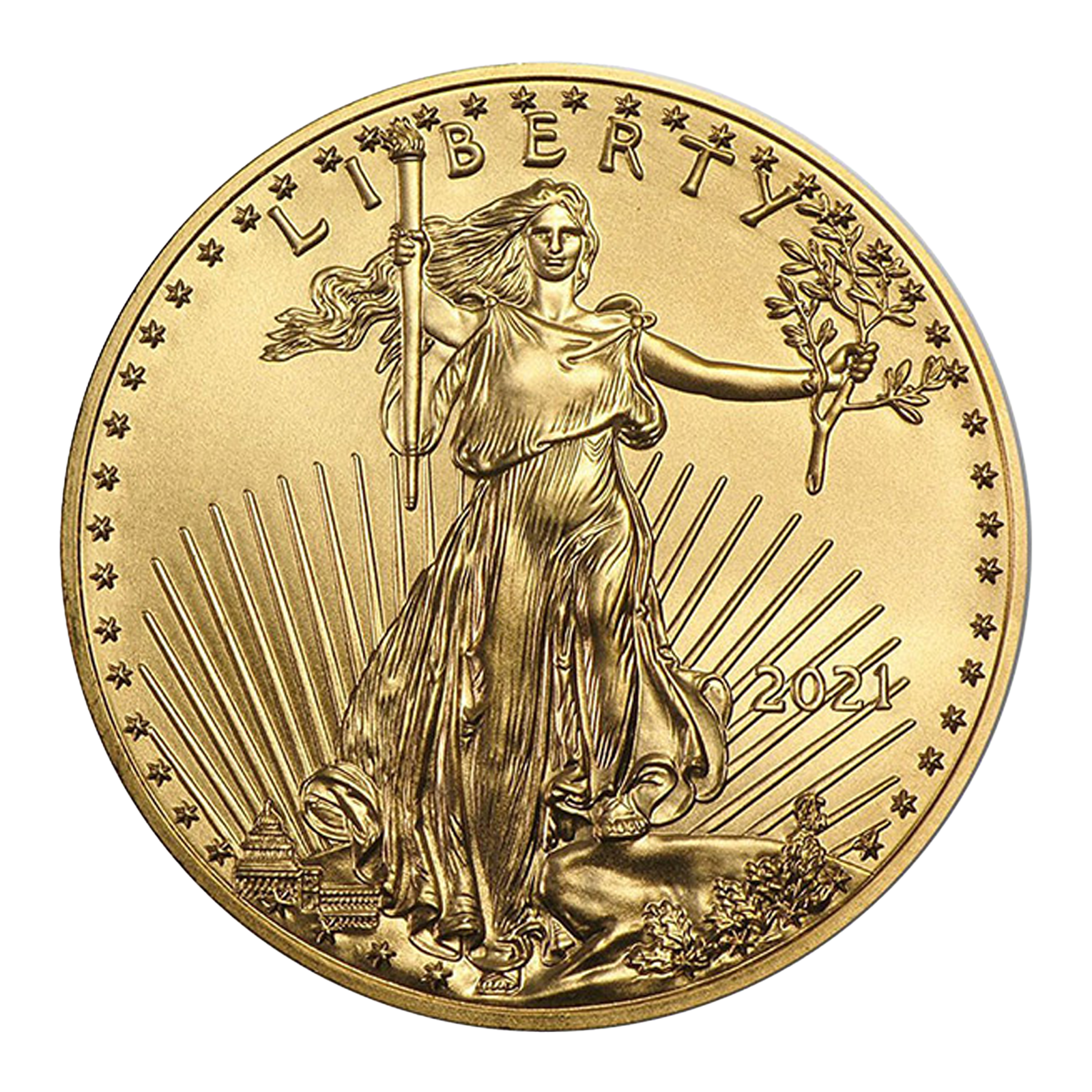 1 oz Gold Eagle Coins (new design - mid 2021 and later), image 1