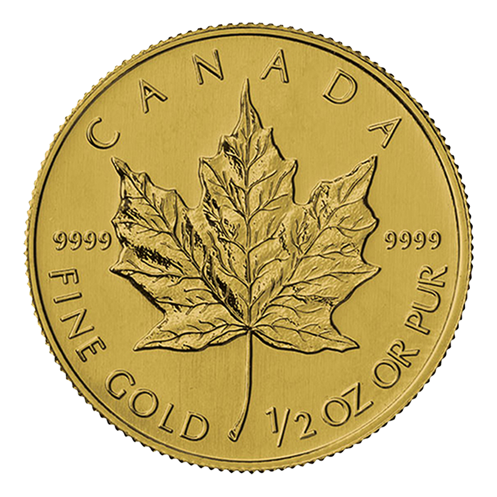 1/2 oz Gold Canadian Maple Leaf Coin, image 0