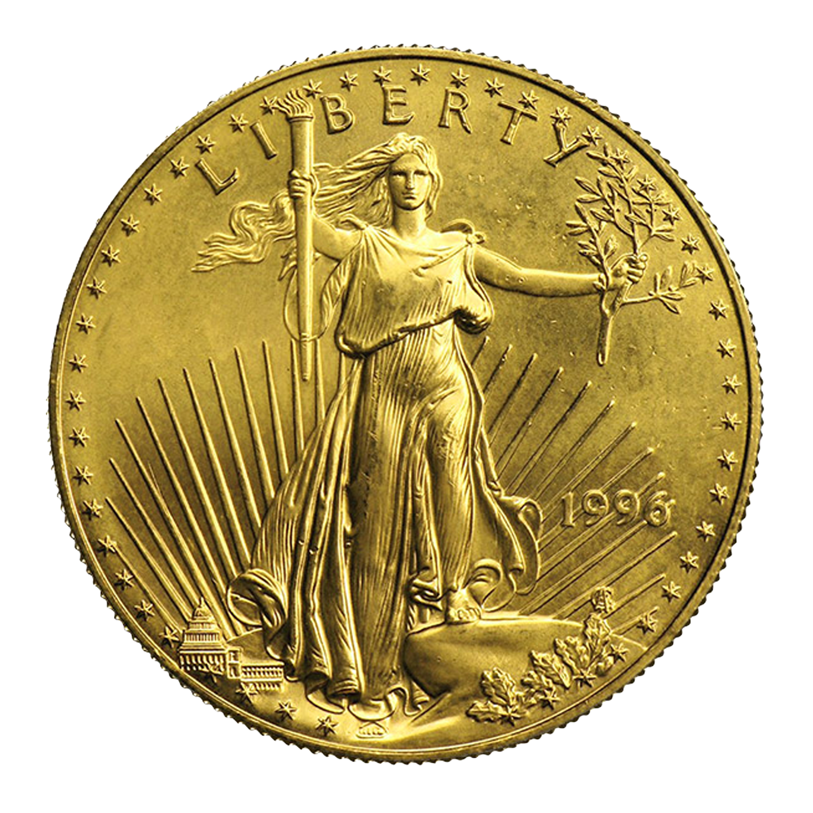 1 oz Gold Eagle Coins, image 1