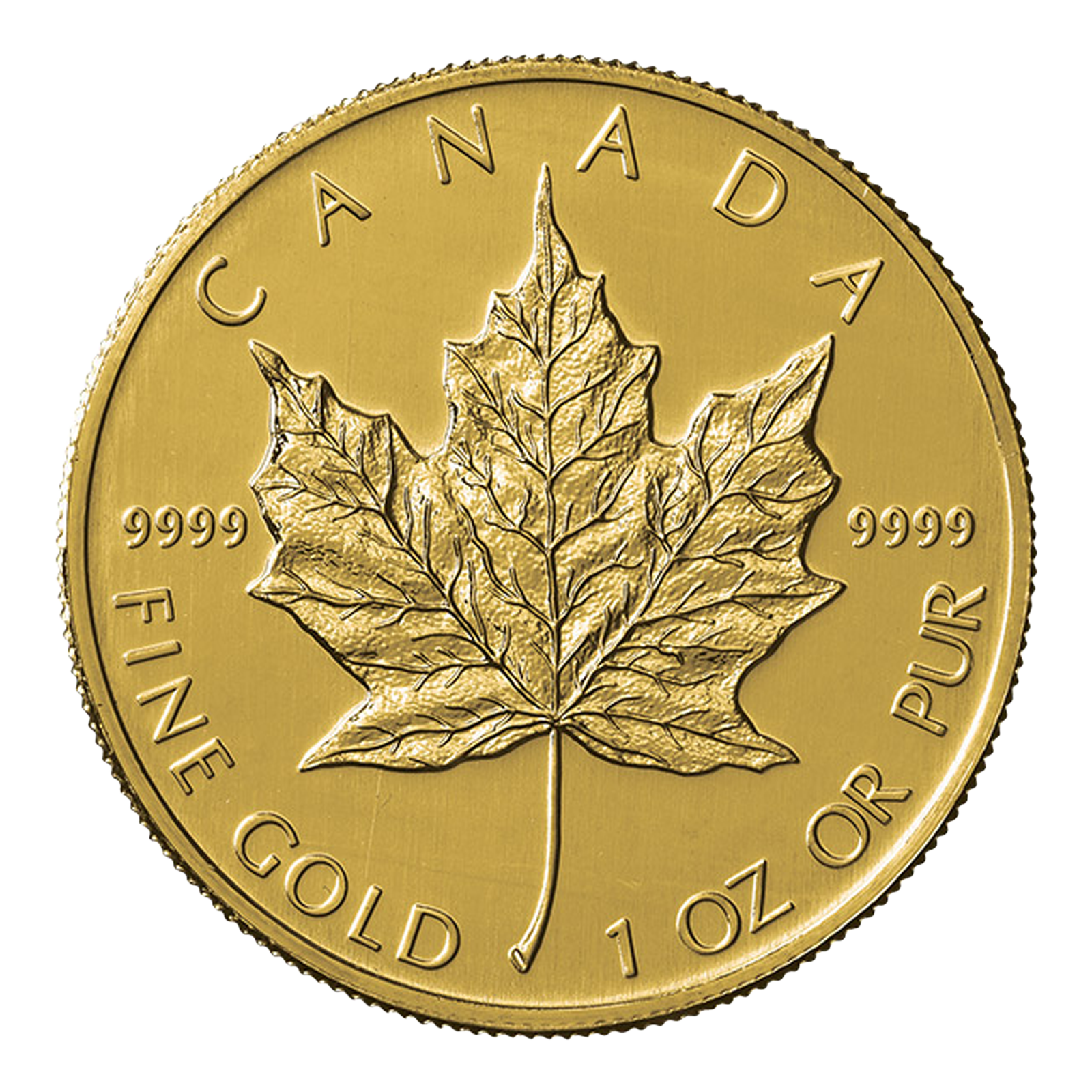 1 oz Gold Canadian Maple Leaf Coin, image 0