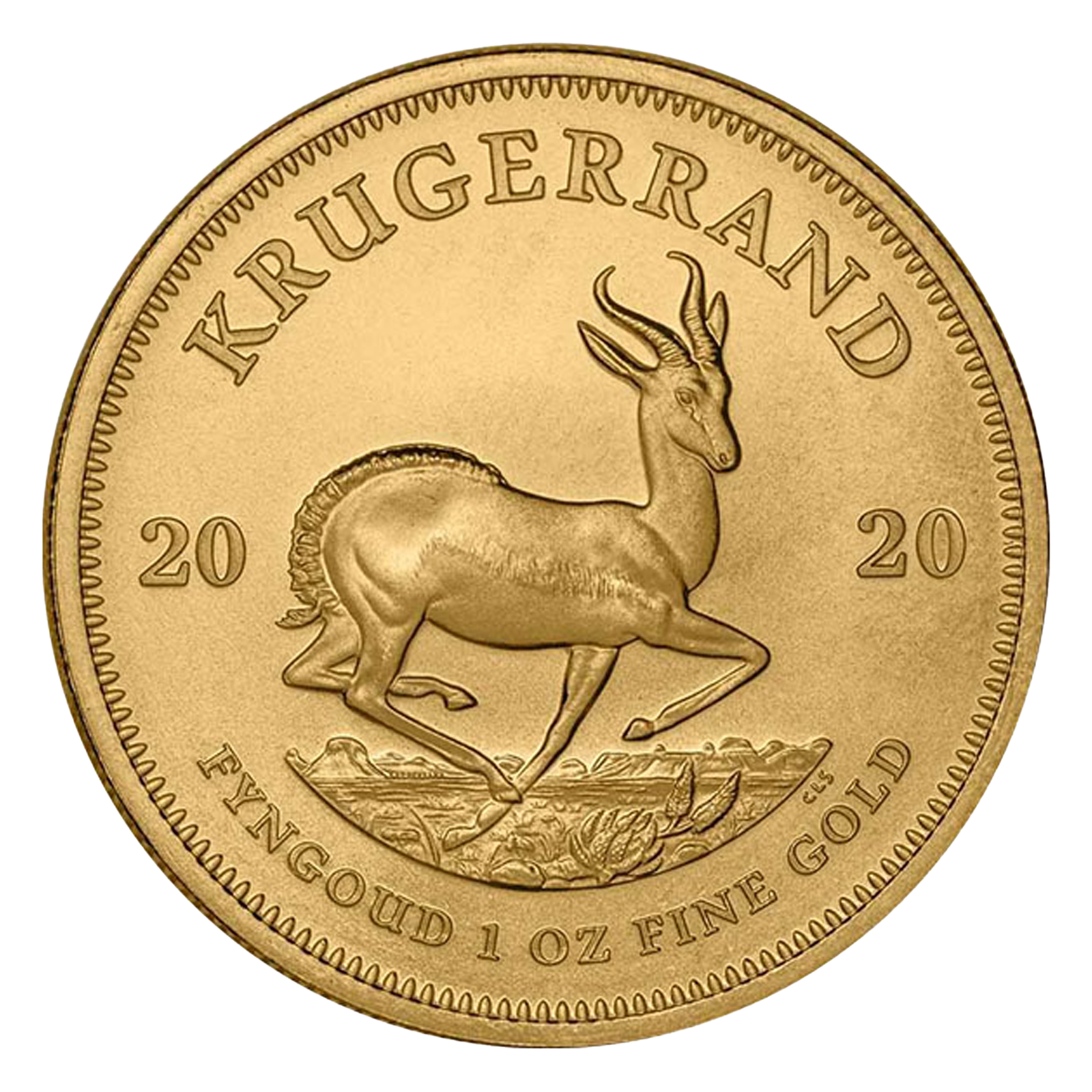 1 oz South African Gold Krugerrand Coins, image 0