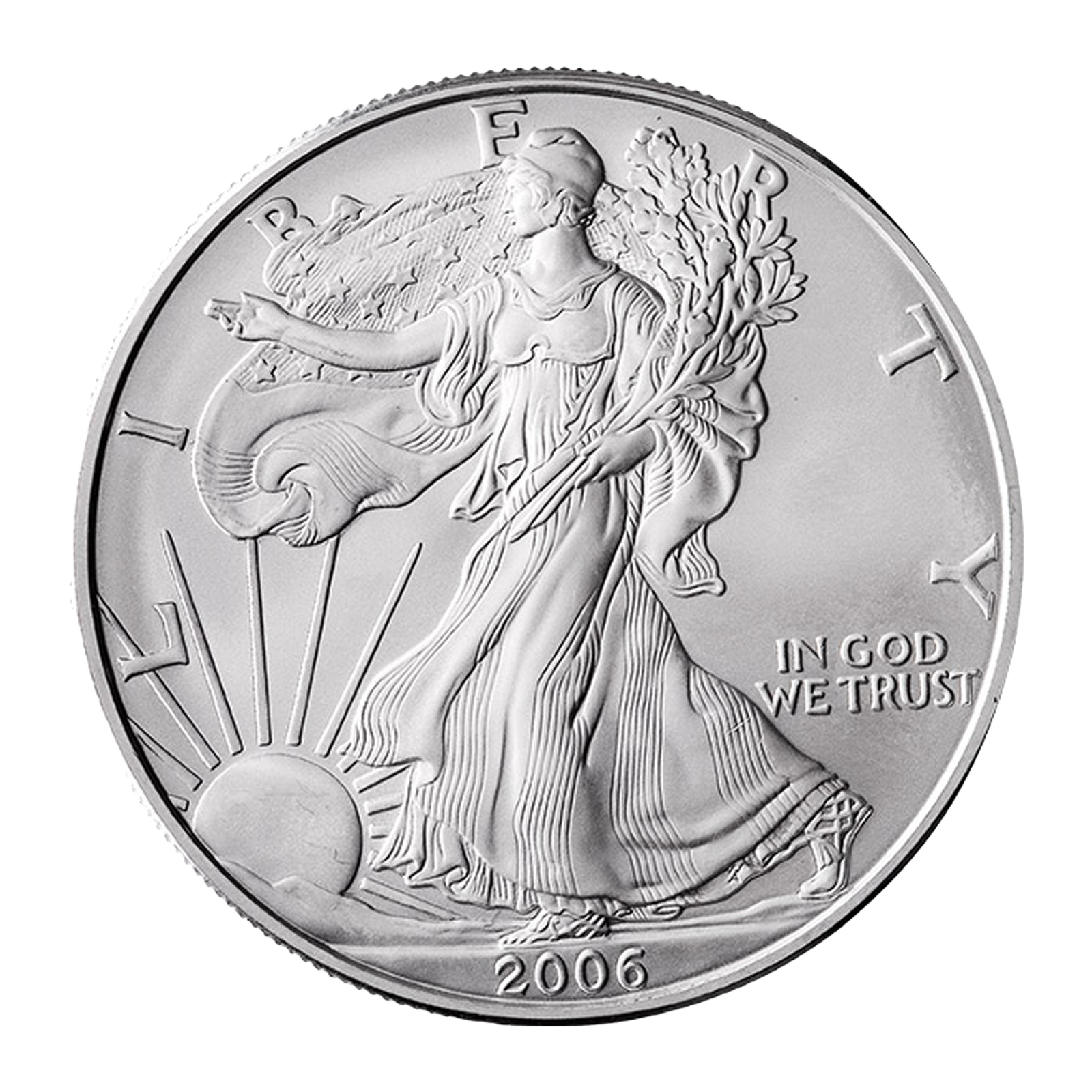 1 oz Silver American Eagle Coins, image 1